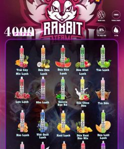 DISPOSABLE RABBIT 4000 HƠI - DISPOSABLE POD (  SẠC ĐƯỢC + LED RGB )