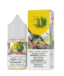 Tinh Dầu Salt Nicotine INTO THE WILD – FRANGIPANI ( Kem Dâu Tây Lạnh ) 30ml/30mg