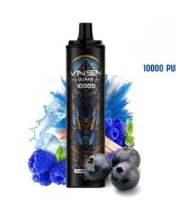 VNSN Quake Pod 10000 - Frozen Blueberry Blast (Sự cháy bùng với hương vị việt quất đá)