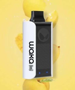 Relx PA10000 WAKA SoPro Mango Peach- Xoài Đào Lạnh - Pod 1 Lần Sạc- 10000 Hơi