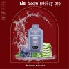 Lio Mickey Pro 12000 puff 5% - Blueberry Aloe Vera - Vị Việt Quất Nha Đam