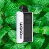 Relx PA10000 WAKA SoPro Fresh Mint- Bạc Hà Mát Lạnh - Pod 1 Lần Sạc- 10000 Hơi
