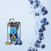 RELX Vapgo 12000 Puff 5% – Blueberry – Vị Việt Quất Lạnh