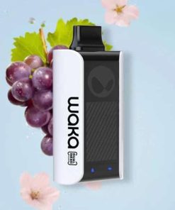 Relx PA10000 WAKA SoPro Sakura Grape- Nho Mix Hoa Anh Đào Lạnh - Pod 1 Lần Sạc- 10000 Hơi